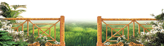 http://us1.harunyahya.com/Image/manzara/R0169.jpg